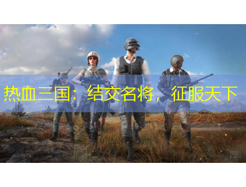 熱血三國：結(jié)交名將，征服天下