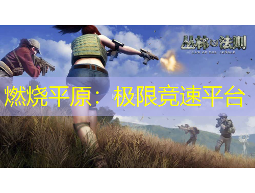 燃燒平原：極限競(jìng)速平臺(tái)