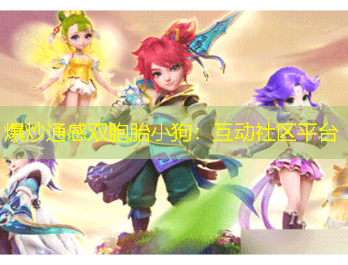 爆炒通感雙胞胎小狗：互動社區(qū)平臺