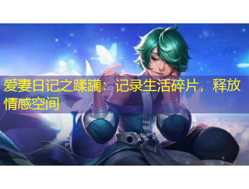 愛妻日記之蹂躪：記錄生活碎片，釋放情感空間