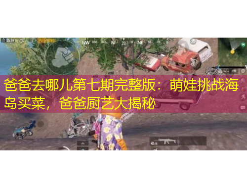 爸爸去哪兒第七期完整版：萌娃挑戰(zhàn)海島買菜，爸爸廚藝大揭秘