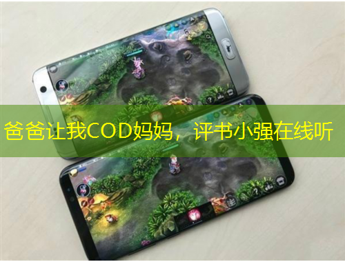 爸爸讓我COD媽媽，評書小強(qiáng)在線聽