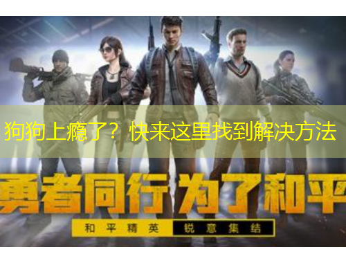 狗狗上癮了？快來這里找到解決方法