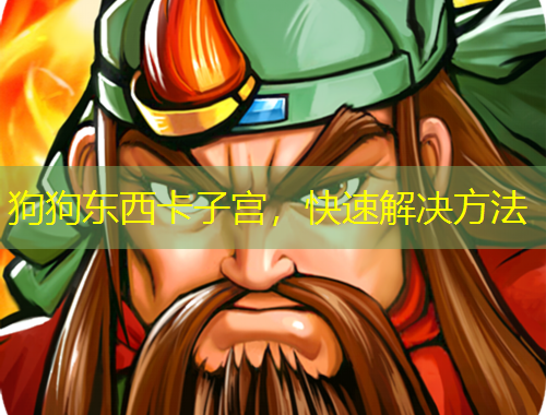 狗狗東西卡子宮，快速解決方法