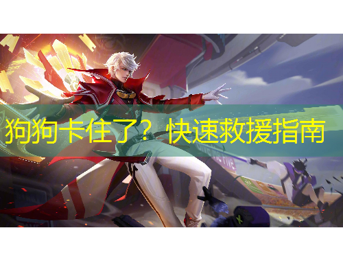 狗狗卡住了？快速救援指南