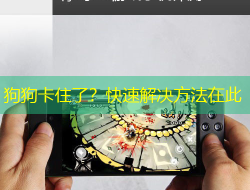 狗狗卡住了？快速解決方法在此
