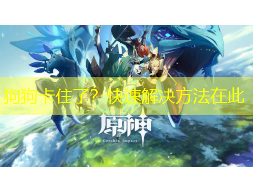 狗狗卡住了？快速解決方法在此