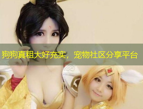 狗狗真粗大好充實，寵物社區(qū)分享平臺