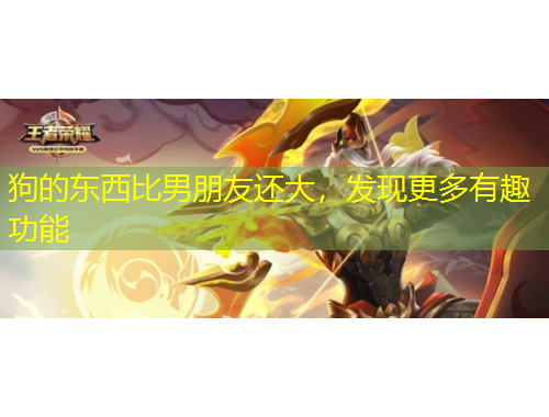 狗的東西比男朋友還大，發(fā)現(xiàn)更多有趣功能