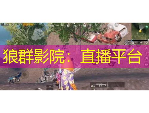 狼群影院：直播平臺