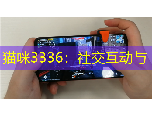 貓咪3336：社交互動(dòng)與