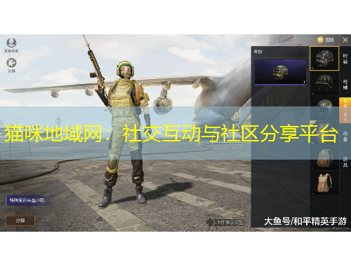 貓咪地域網(wǎng)：社交互動(dòng)與社區(qū)分享平臺(tái)