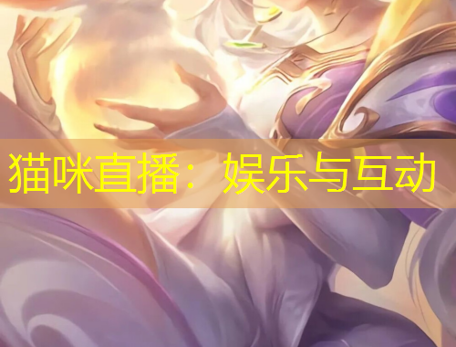 貓咪直播：娛樂(lè)與互動(dòng)
