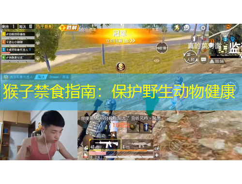 猴子禁食指南：保護(hù)野生動(dòng)物健康