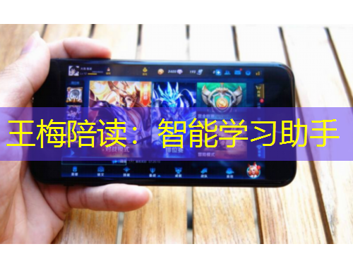 王梅陪讀：智能學習助手