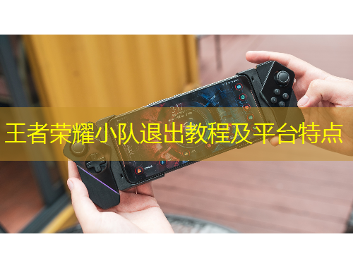 王者榮耀小隊(duì)退出教程及平臺(tái)特點(diǎn)