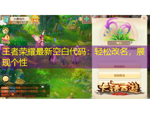 王者榮耀最新空白代碼：輕松改名，展現(xiàn)個(gè)性