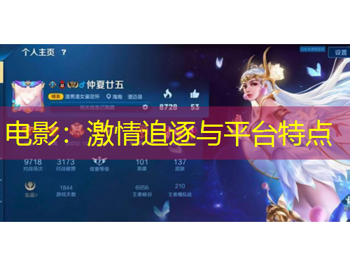 電影：激情追逐與平臺特點(diǎn)