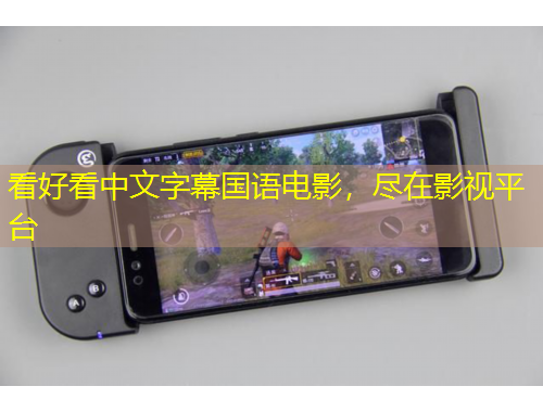 看好看中文字幕國語電影，盡在影視平臺