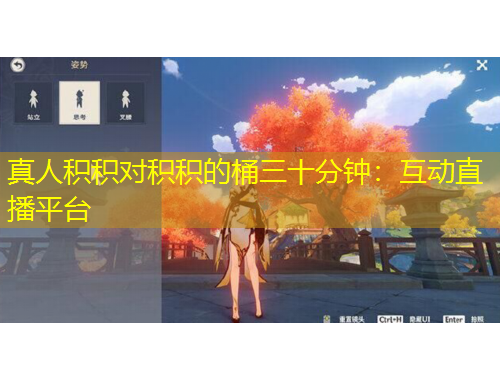 真人積積對積積的桶三十分鐘：互動直播平臺