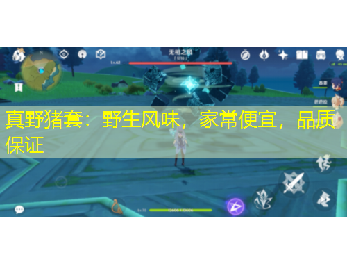 真野豬套：野生風(fēng)味，家常便宜，品質(zhì)保證