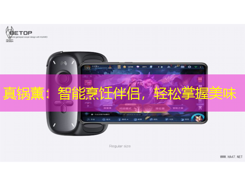 真鍋薰：智能烹飪伴侶，輕松掌握美味