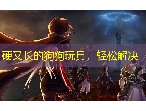 硬又長的狗狗玩具，輕松解決