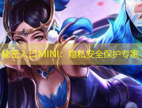 秘密入口MINI：隱私安全保護專家