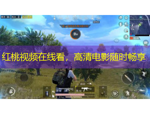 紅桃視頻在線(xiàn)看，高清電影隨時(shí)暢享