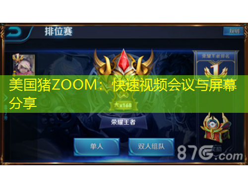 美國豬ZOOM：快速視頻會議與屏幕分享