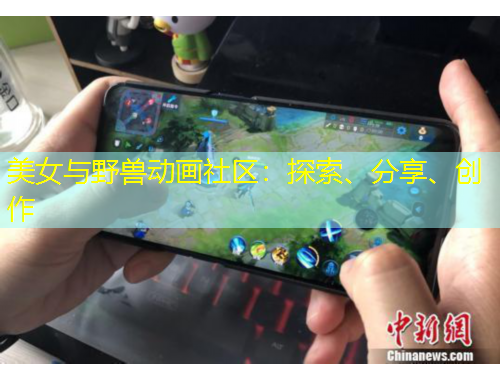 美女與野獸動畫社區(qū)：探索、分享、創(chuàng)作