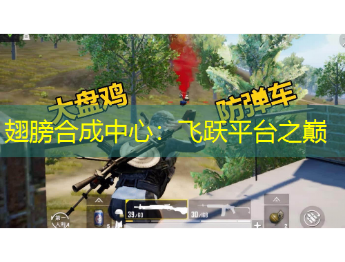 翅膀合成中心：飛躍平臺之巔