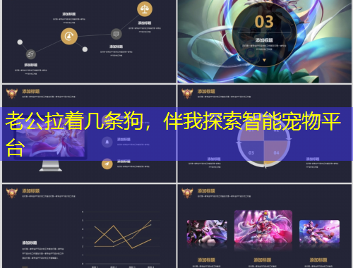 老公拉著幾條狗，伴我探索智能寵物平臺