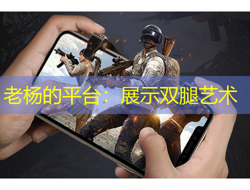 老楊的平臺：展示雙腿藝術(shù)