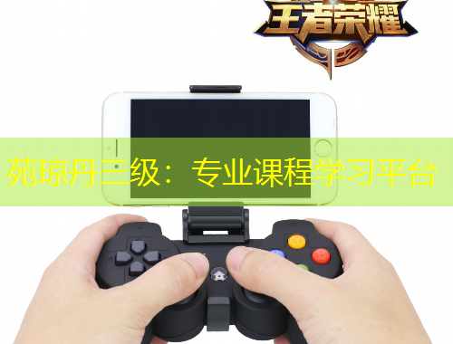 苑瓊丹三級(jí)：專業(yè)課程學(xué)習(xí)平臺(tái)
