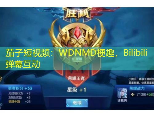 茄子短視頻：WDNMD梗趣，Bilibili彈幕互動