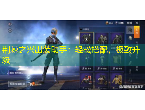 荊棘之興出裝助手：輕松搭配，極致升級