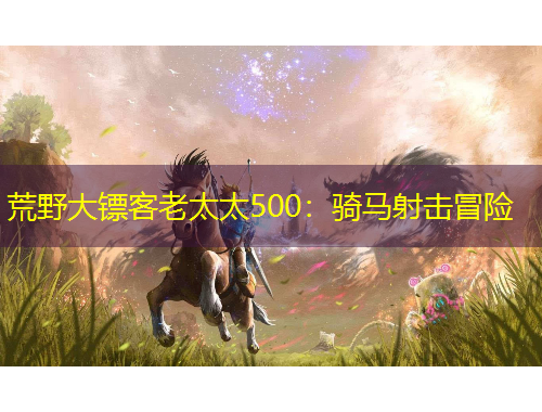 荒野大鏢客老太太500：騎馬射擊冒險(xiǎn)