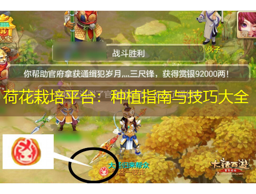 荷花栽培平臺：種植指南與技巧大全