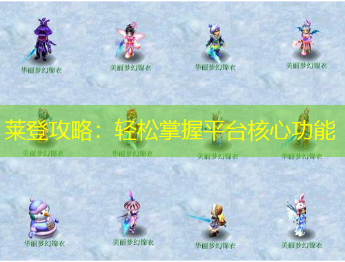 萊登攻略：輕松掌握平臺核心功能