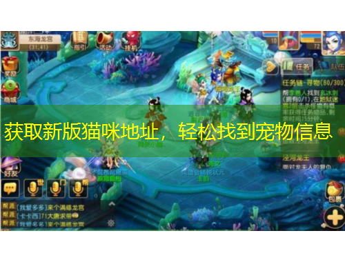 獲取新版貓咪地址，輕松找到寵物信息