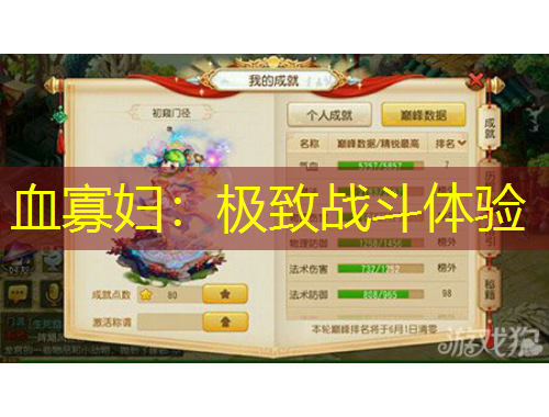 血寡婦：極致戰(zhàn)斗體驗(yàn)