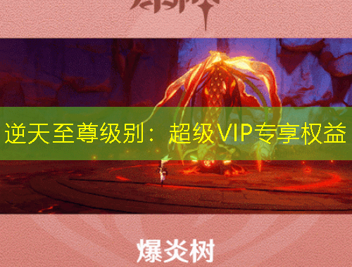 逆天至尊級(jí)別：超級(jí)VIP專(zhuān)享權(quán)益