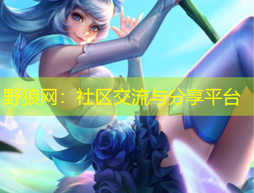 野狼網(wǎng)：社區(qū)交流與分享平臺(tái)