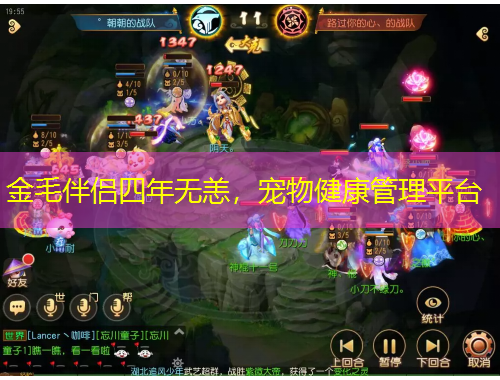 金毛伴侶四年無恙，寵物健康管理平臺(tái)