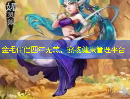 金毛伴侶四年無恙，寵物健康管理平臺(tái)