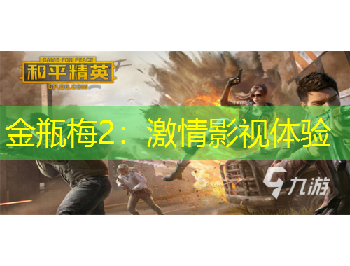 金瓶梅2：激情影視體驗(yàn)