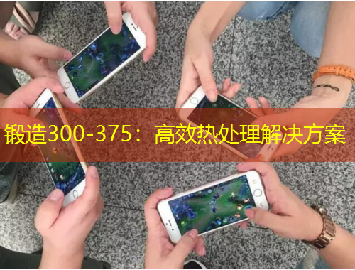 鍛造300-375：高效熱處理解決方案