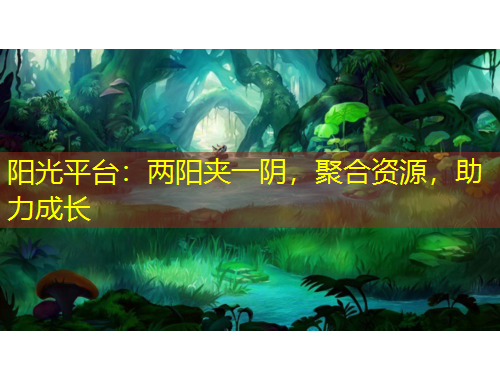 陽光平臺(tái)：兩陽夾一陰，聚合資源，助力成長