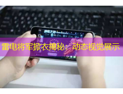 雷電將軍掀衣揭秘：動(dòng)態(tài)視覺展示